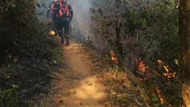 INCENDIO FORESTAL