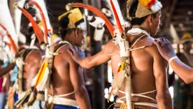 Organización Nacional de los Pueblos Indígenas de la Amazonía