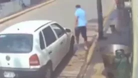 MALTRATO ANIMAL EN MÉXICO