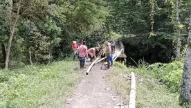 PUENTE EN DABEIBA