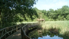 Vía Parque Isla de Salamanca 