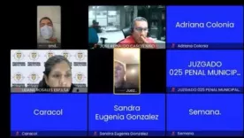 Audiencia de Andrés Ricci