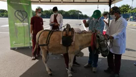 Proyecto de sustitución de vehículos de tracción animal en Barranquilla