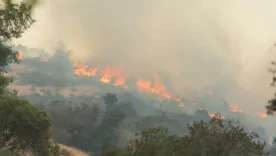 INCENDIO FORESTAL COLOMBIA