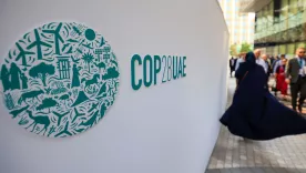 COP28 ambiente