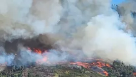 Incendio Sopó