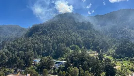  incendio forestal en cerros orientales de Bogota 