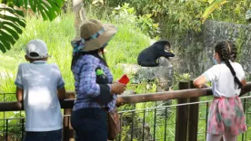 ZOOLÓGICO EN COLOMBIA 1