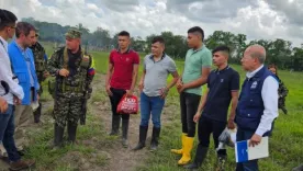 Liberan a cuatro hombres secuestrados en Arauca