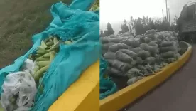 En Tibasosa, Boyacá accidente platanos