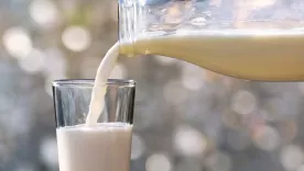 consumo de leche 24