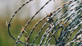 Alambre de púas 4 de julio