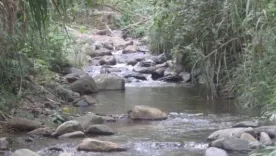 yacimiento de agua Huila