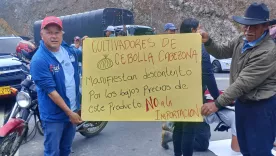  Productores de cebolla