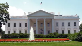 the white house