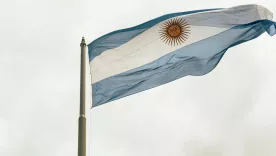 bandera argentina 25