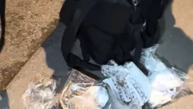 operativo san bernardo bta