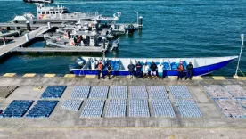 operativos ffmm 2025