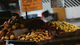 frutas colombia mango
