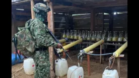 Ejército laboratorios