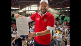 Palma decreto