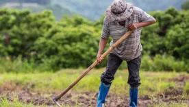 Agricultor colombiano