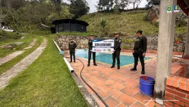 red ilegal de insumos químicos