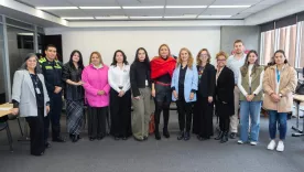 linea rosa de memoria