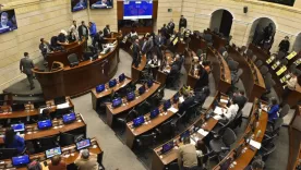 Senado consulta popular