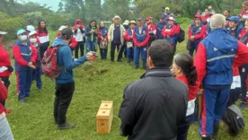abejas con la conservacion