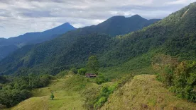 Unidad de Restitución de Tierras