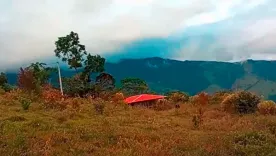 vereda-puerto-valdivia