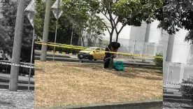 hombre amarrado a arbol cali