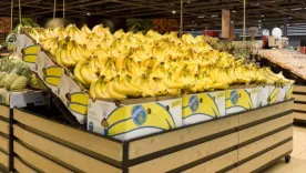Chiquita Brands