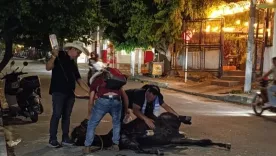 maltrato animal santander