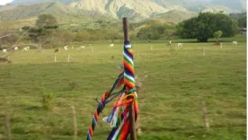 Cabildo Nasa La Esperanza 