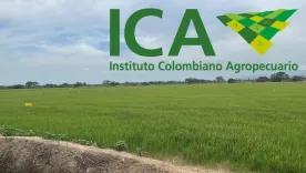 ICA Colombia