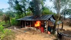Laboratorios de coca destruidos en Antioquia