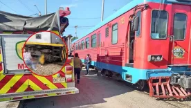 tren de la sabana atropella a domiciliario