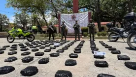 800 kilos de marihuana en La Plata, Huila