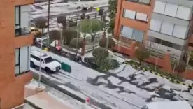 Luvia hoy 16