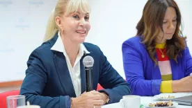 dilian francisca toro