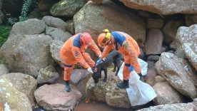 rescatan perro en cueva piedecuesta