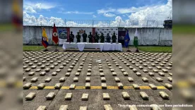 operativos contra ivan mordisco