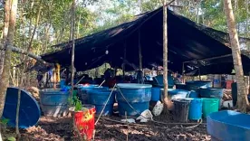 Laboratorio Pacífico nariñense