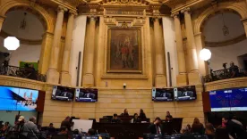 Senado plenaria 25