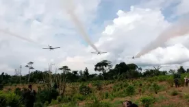 fumigación con glifosato 2025