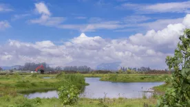 Restauración ecológica del río Bogotá