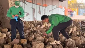 restos óseos hallados en Puente Aranda