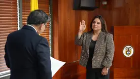 magistrada Paola Andrea Meneses